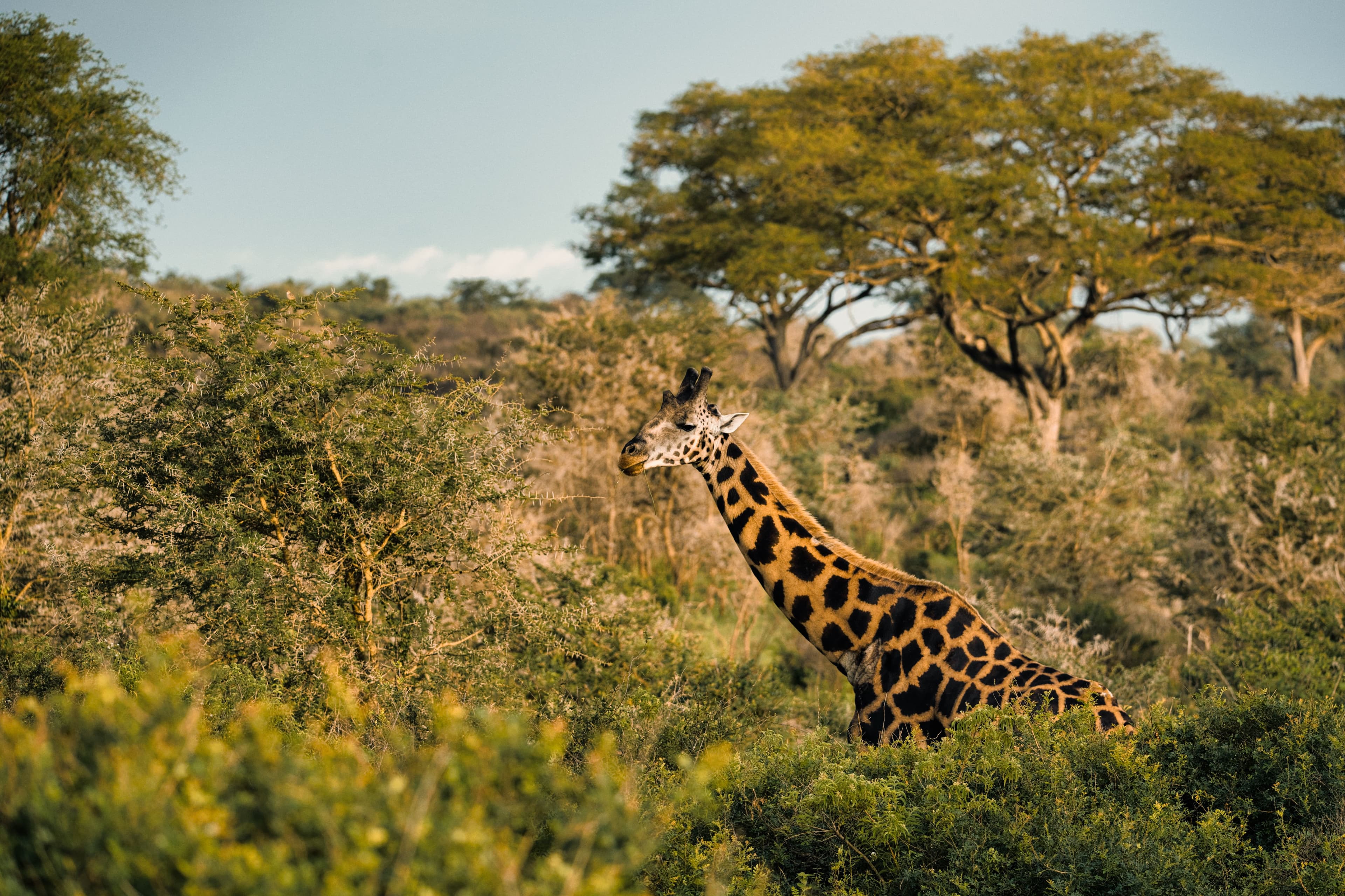 Why book through a destination management company
