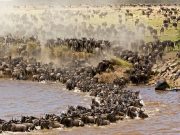 Best Travel Agency in East Africa