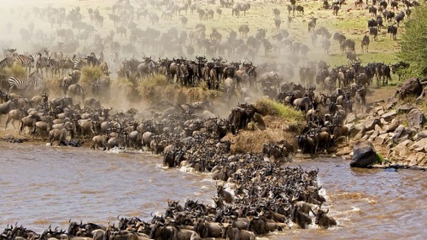 Best Travel Agency in East Africa
