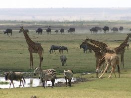 Best Travel Agency in East Africa