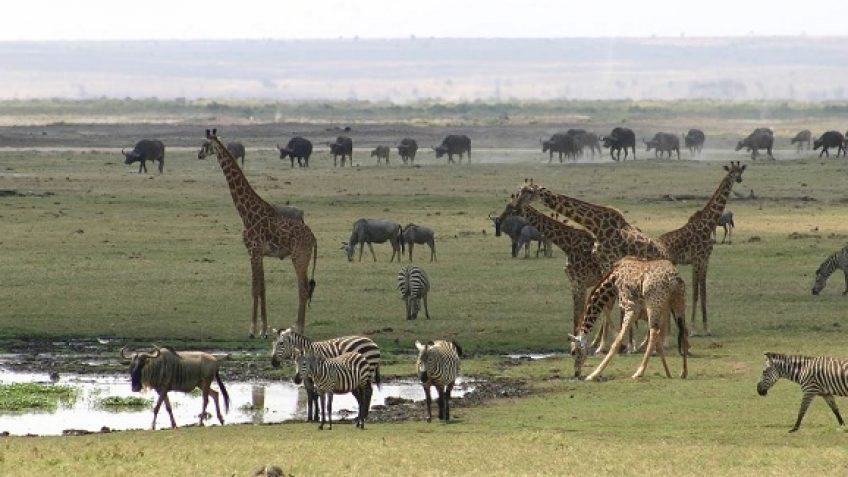 Best Travel Agency in East Africa