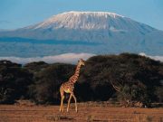 Best Travel Agency in East Africa