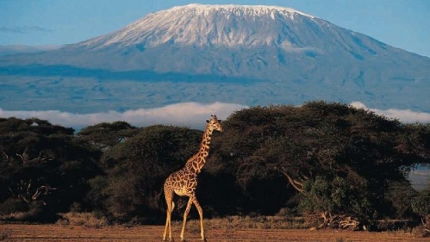 Best Travel Agency in East Africa
