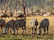Best Travel Agency in East Africa