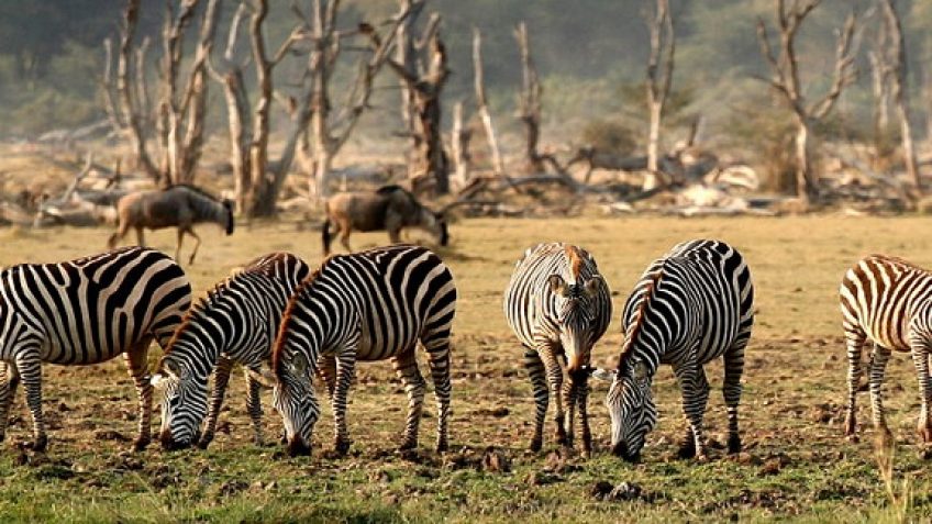 Best Travel Agency in East Africa