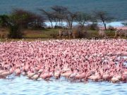 Best Travel Agency in East Africa
