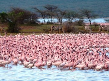 Best Travel Agency in East Africa