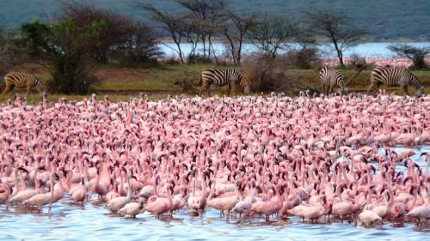 Best Travel Agency in East Africa