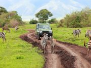 Best Travel Agency in East Africa