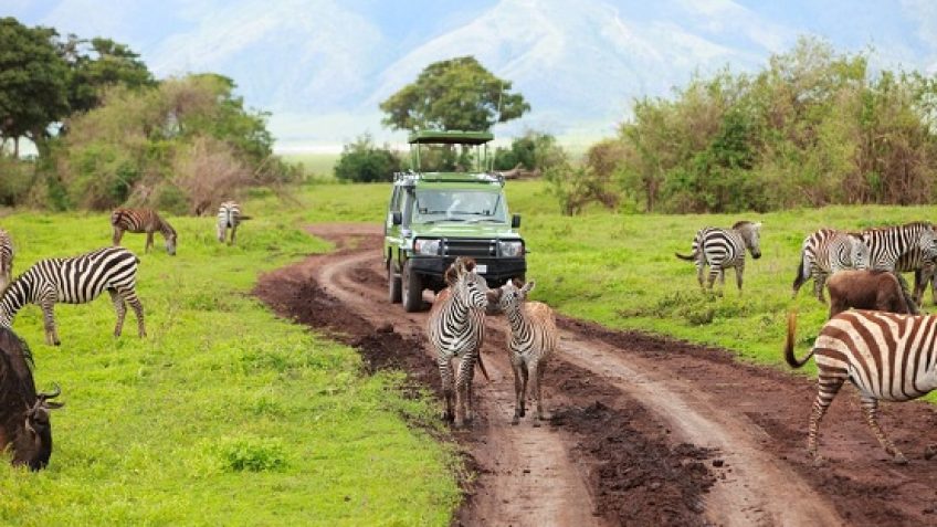 Best Travel Agency in East Africa