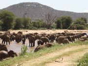 Best Travel Agency in East Africa