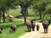 Best Travel Agency in East Africa