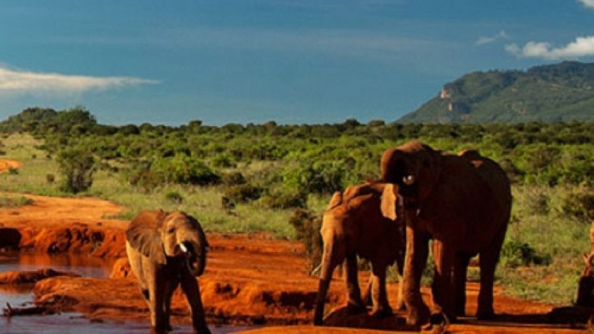 Best Travel Agency in East Africa