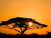 Best Travel Agency in East Africa