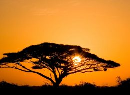 Best Travel Agency in East Africa