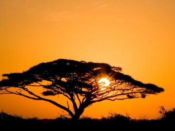 Best Travel Agency in East Africa