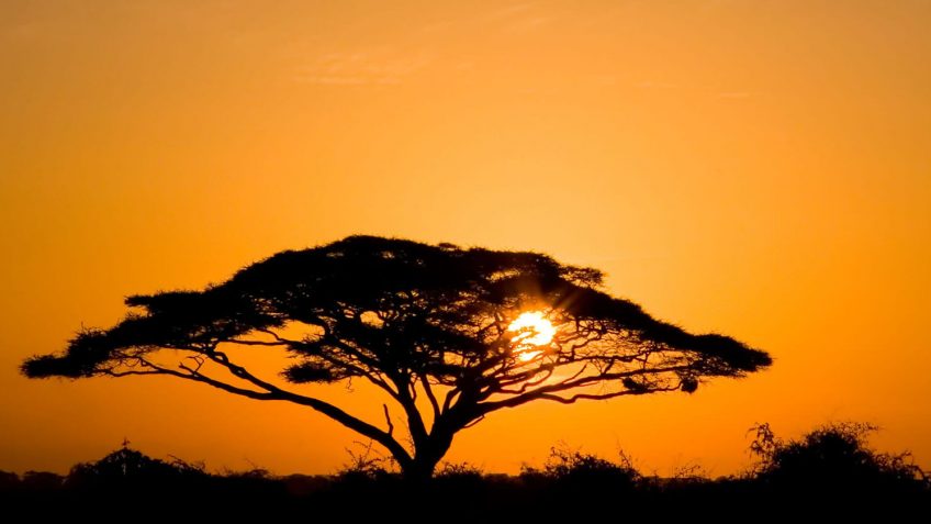Best Travel Agency in East Africa