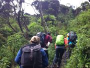 Best Travel Agency in East Africa