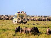 Best Travel Agency in East Africa
