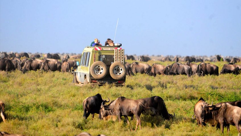 Best Travel Agency in East Africa