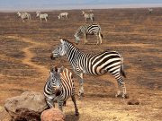 Best Travel Agency in East Africa