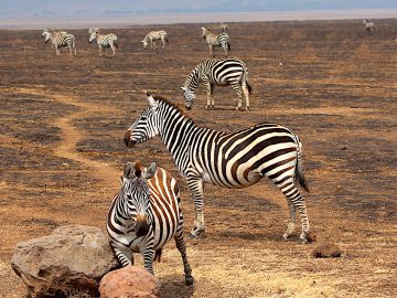 Best Travel Agency in East Africa
