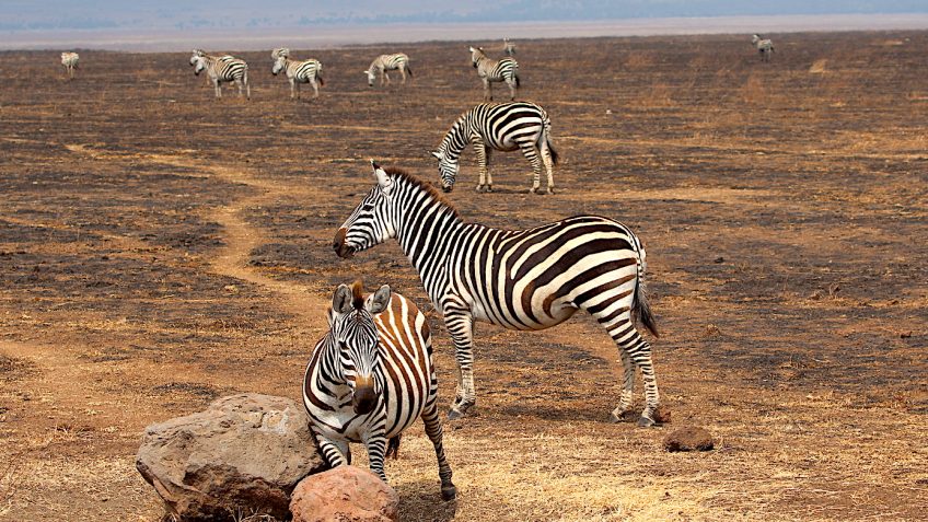 Best Travel Agency in East Africa