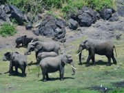 Best Travel Agency in East Africa