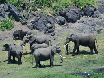 Best Travel Agency in East Africa
