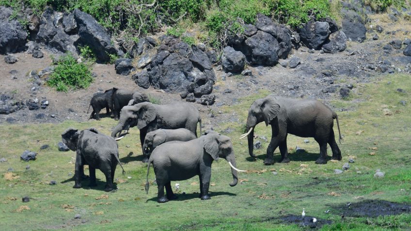 Best Travel Agency in East Africa