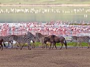 Best Travel Agency in East Africa