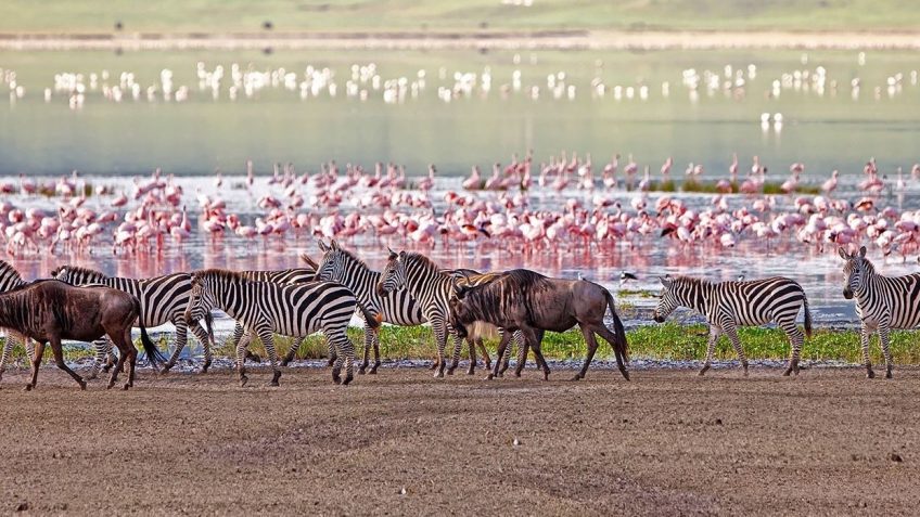 Best Travel Agency in East Africa