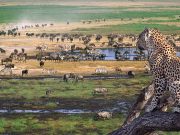 Best Travel Agency in East Africa