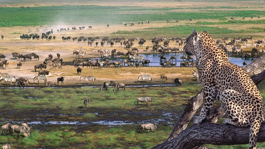 Best Travel Agency in East Africa