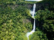 Best Travel Agency in East Africa