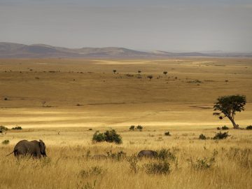 Best Travel Agency in East Africa