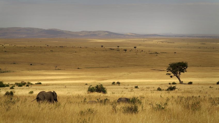 Best Travel Agency in East Africa