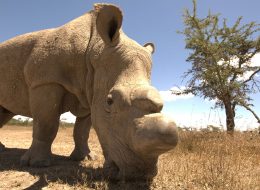 Best Travel Agency in East Africa