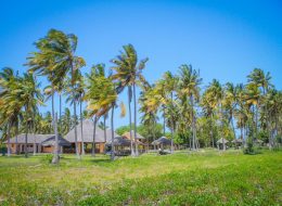 Best Travel Agency in East Africa