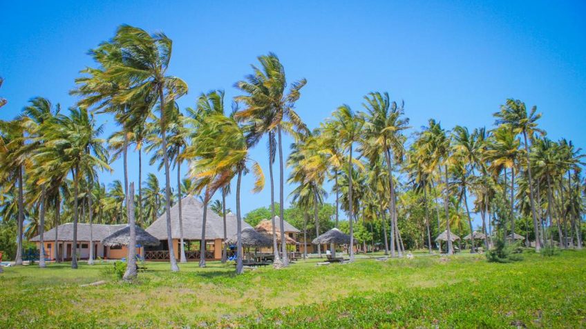 Best Travel Agency in East Africa