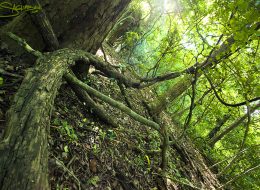 Best Travel Agency in East Africa