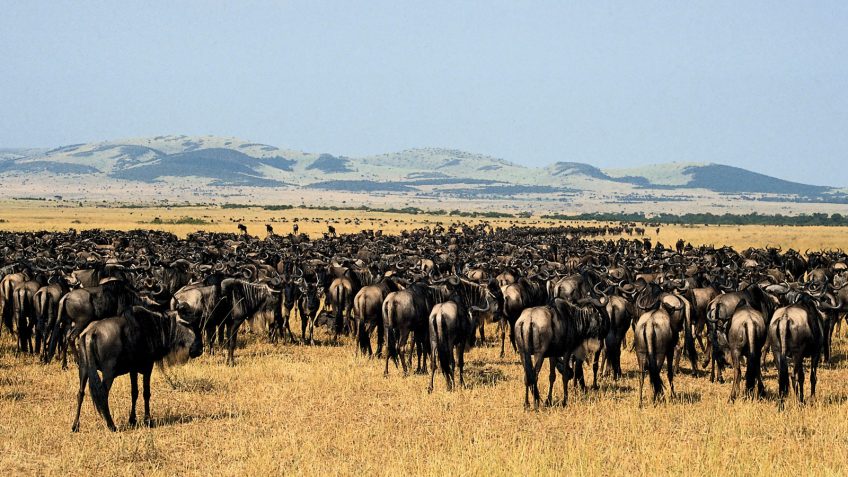Best Travel Agency in East Africa