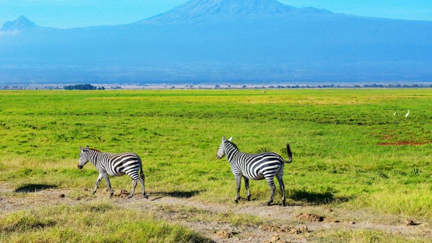 Best Travel Agency in East Africa