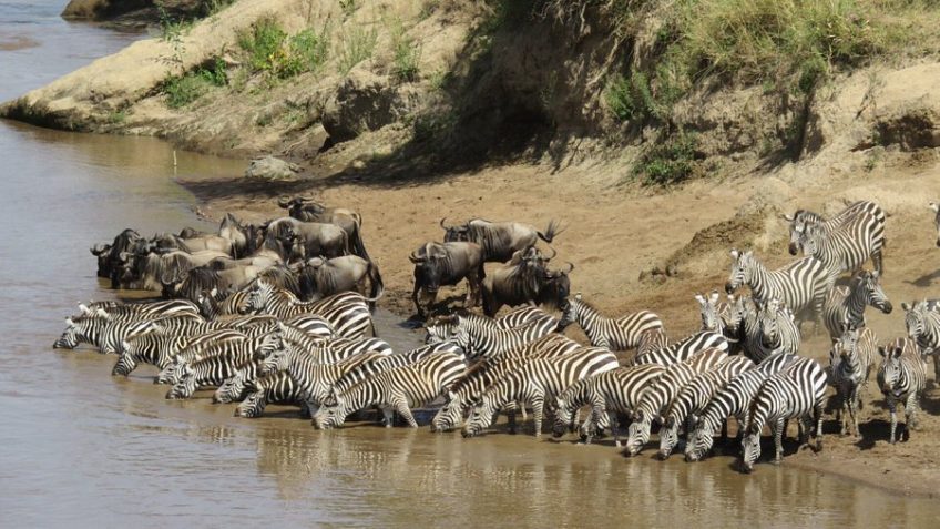 Best Travel Agency in East Africa