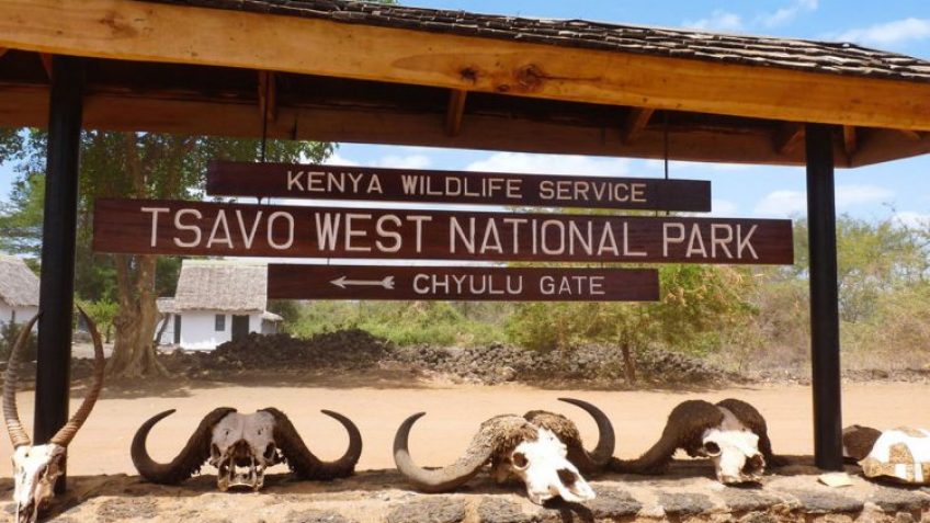 Best Travel Agency in East Africa