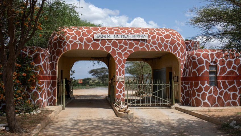 Best Travel Agency in East Africa