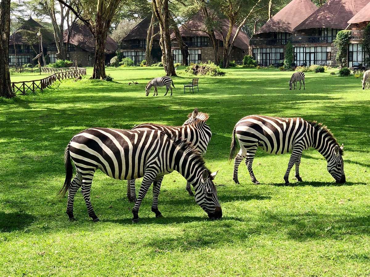 Sopa Lodge Naivasha